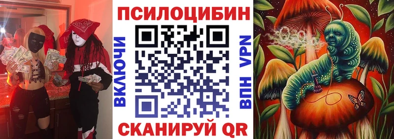 Купить где  Южа  Галлюциногенные грибы Psilocybine cubensis 